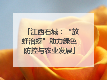 江西石城：“放蜂治蚜”助力绿色防控与农业发展