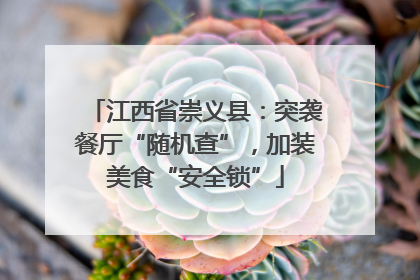 江西省崇义县：突袭餐厅“随机查”，加装美食“安全锁”