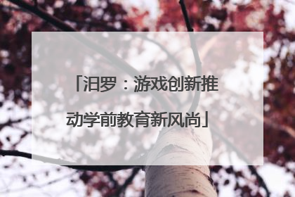 汨罗：游戏创新推动学前教育新风尚