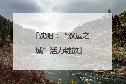 沈阳：“双运之城”活力绽放