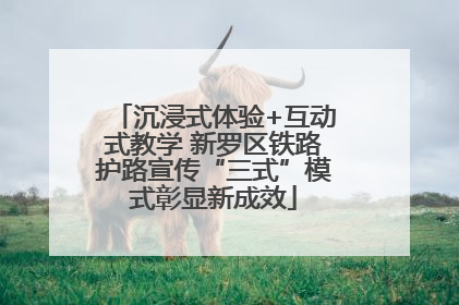 沉浸式体验+互动式教学 新罗区铁路护路宣传“三式”模式彰显新成效