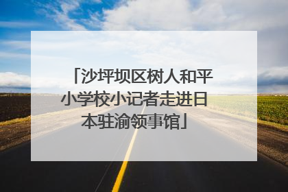 沙坪坝区树人和平小学校小记者走进日本驻渝领事馆