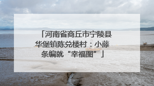 河南省商丘市宁陵县华堡镇陈兑楼村：小藤条编就“幸福图”