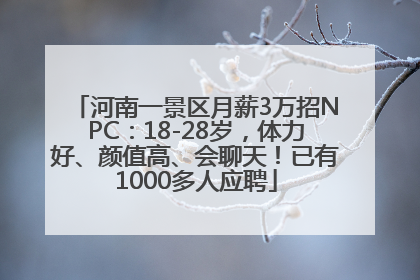 河南一景区月薪3万招NPC：18-28岁，体力好、颜值高、会聊天！已有1000多人应聘