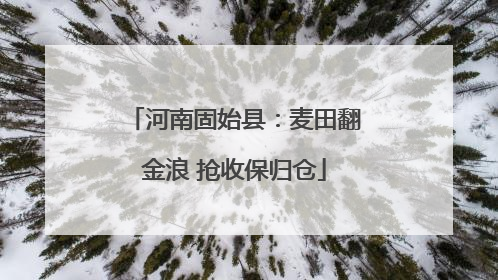 河南固始县：麦田翻金浪 抢收保归仓