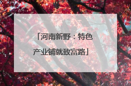 河南新野：特色产业铺就致富路
