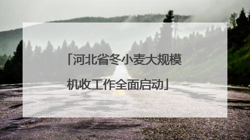 河北省冬小麦大规模机收工作全面启动