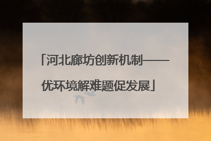 河北廊坊创新机制——优环境解难题促发展