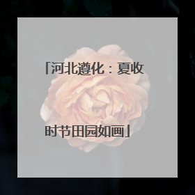 河北遵化：夏收时节田园如画