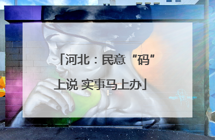 河北：民意“码”上说 实事马上办