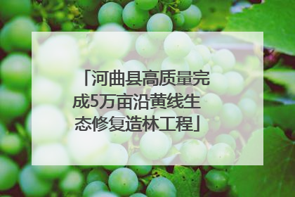 河曲县高质量完成5万亩沿黄线生态修复造林工程