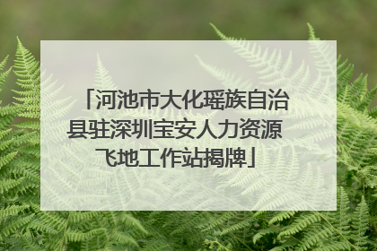 河池市大化瑶族自治县驻深圳宝安人力资源飞地工作站揭牌