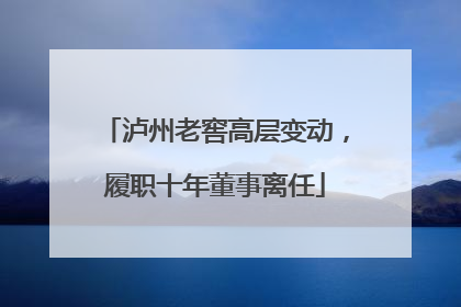 泸州老窖高层变动，履职十年董事离任