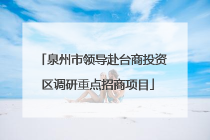 泉州市领导赴台商投资区调研重点招商项目