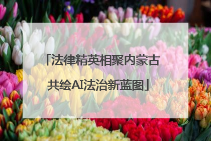 法律精英相聚内蒙古 共绘AI法治新蓝图