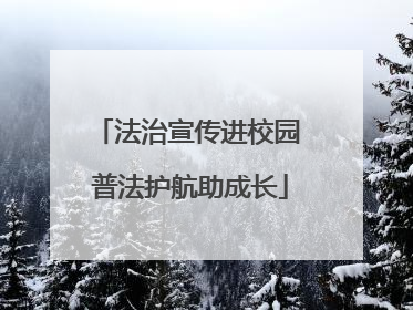 法治宣传进校园 普法护航助成长
