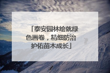 泰安园林绘就绿色画卷，精细防治护佑苗木成长
