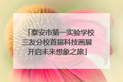 泰安市第一实验学校三友分校首届科技画展开启未来想象之旅