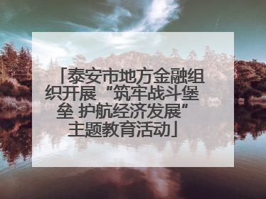 泰安市地方金融组织开展“筑牢战斗堡垒 护航经济发展”主题教育活动
