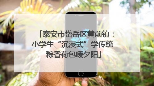 泰安市岱岳区黄前镇：小学生“沉浸式”学传统 粽香荷包暖夕阳