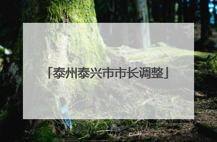 泰州泰兴市市长调整