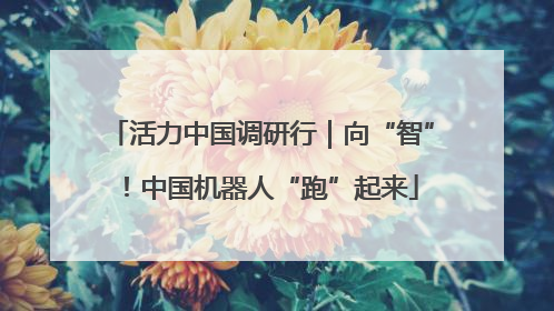 活力中国调研行｜向“智”！中国机器人“跑”起来