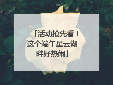 活动抢先看！这个端午星云湖畔好热闹