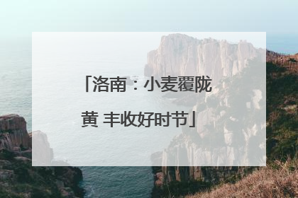 洛南：小麦覆陇黄 丰收好时节