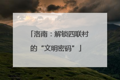 洛南：解锁四联村的“文明密码”