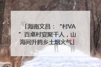 海南文昌：“村VA”百桌村宴聚千人，山海间升腾乡土烟火气