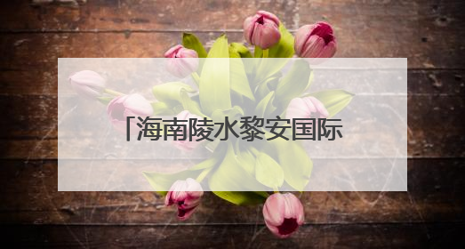 海南陵水黎安国际教育创新试验区举行2025年高校发展协同圆桌会会议