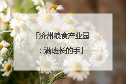 济州粮食产业园：满班长的手