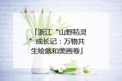 浙江“山野精灵”成长记：万物共生绘就和美画卷