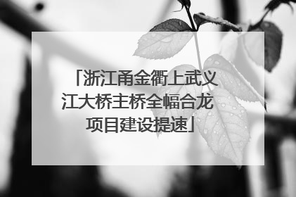 浙江甬金衢上武义江大桥主桥全幅合龙 项目建设提速