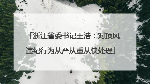 浙江省委书记王浩：对顶风违纪行为从严从重从快处理