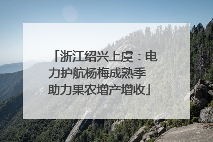 浙江绍兴上虞：电力护航杨梅成熟季 助力果农增产增收