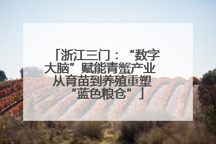浙江三门：“数字大脑”赋能青蟹产业 从育苗到养殖重塑“蓝色粮仓”