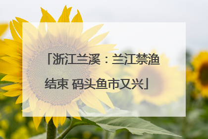 浙江兰溪：兰江禁渔结束 码头鱼市又兴