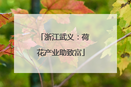浙江武义：荷花产业助致富