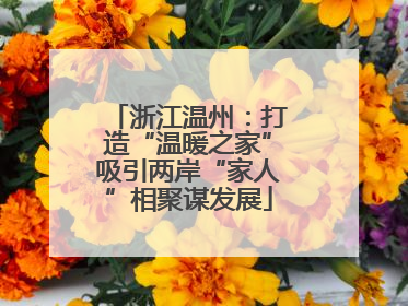浙江温州：打造“温暖之家”吸引两岸“家人”相聚谋发展