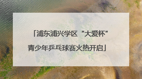 浦东浦兴学区“大爱杯”青少年乒乓球赛火热开启