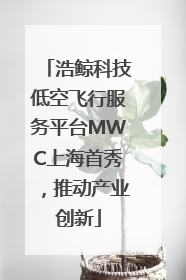 浩鲸科技低空飞行服务平台MWC上海首秀，推动产业创新