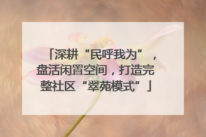 深耕“民呼我为”，盘活闲置空间，打造完整社区“翠苑模式”