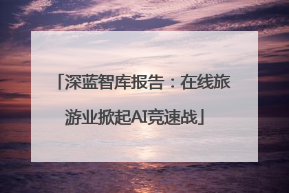 深蓝智库报告：在线旅游业掀起AI竞速战