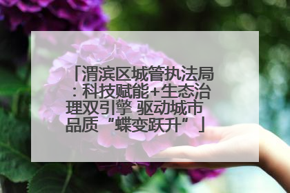 渭滨区城管执法局：科技赋能+生态治理双引擎 驱动城市品质“蝶变跃升”