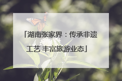 湖南张家界：传承非遗工艺 丰富旅游业态