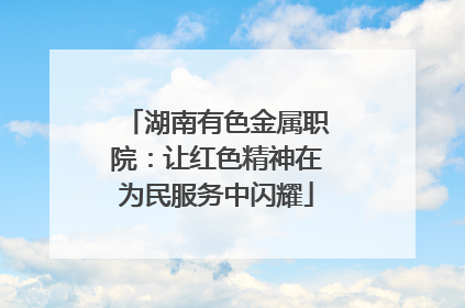 湖南有色金属职院：让红色精神在为民服务中闪耀