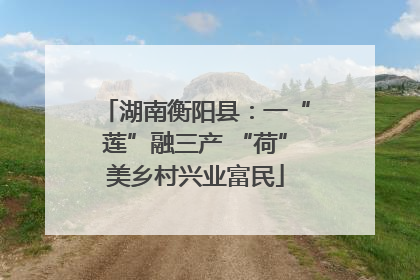 湖南衡阳县：一“莲”融三产 “荷”美乡村兴业富民