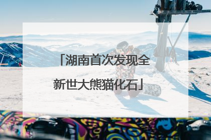 湖南首次发现全新世大熊猫化石