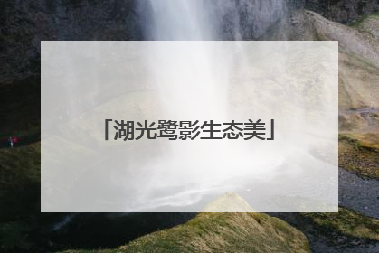 湖光鹭影生态美